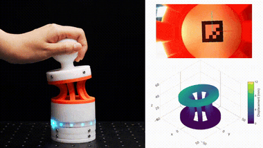 Anchoring Morphological Representations Unlocks Latent Proprioception in Soft Robots