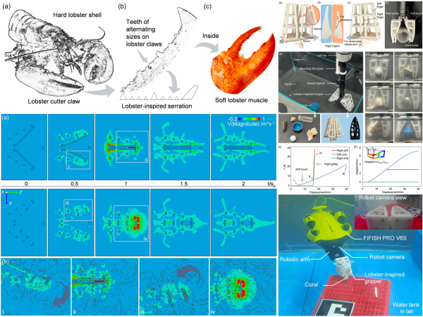 Bio-inspired Rigid–Soft Interaction for Robust Picking Underwater