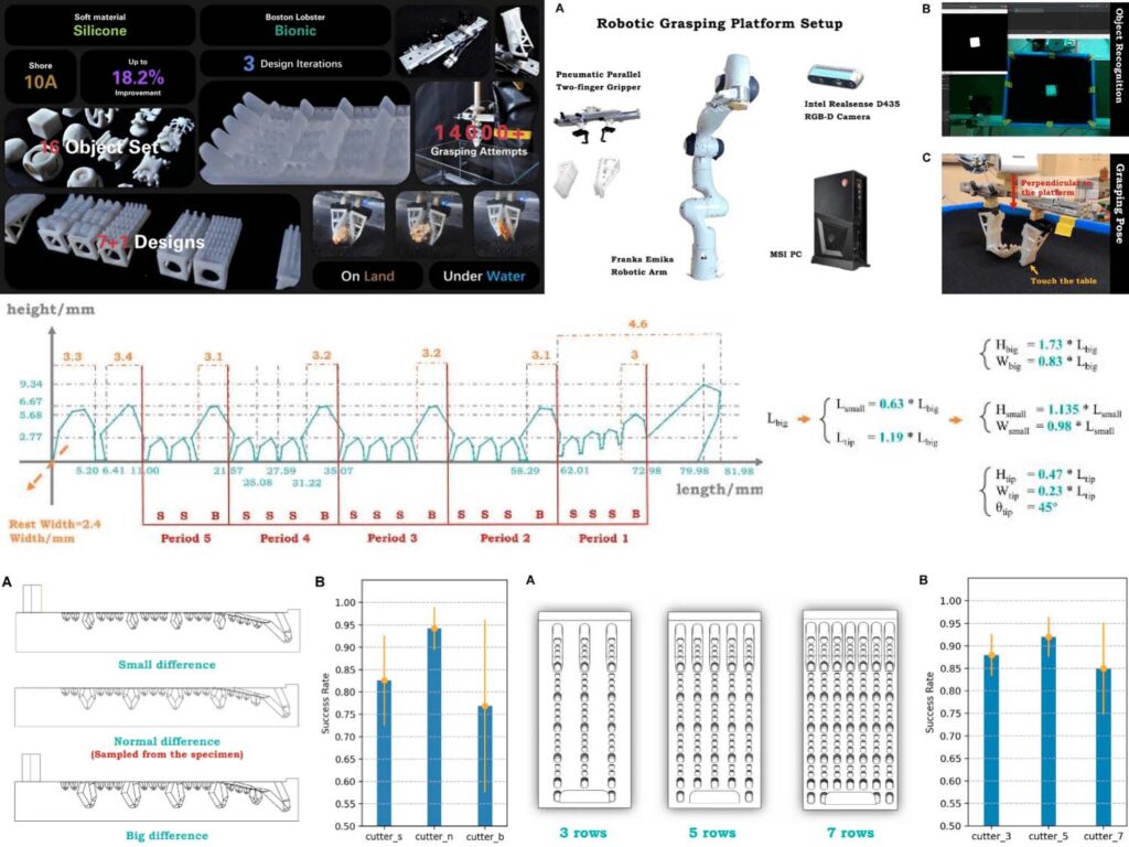 Rigid–Soft Interactive Design of a Lobster-Inspired Finger Surface for Enhanced Grasping Underwater